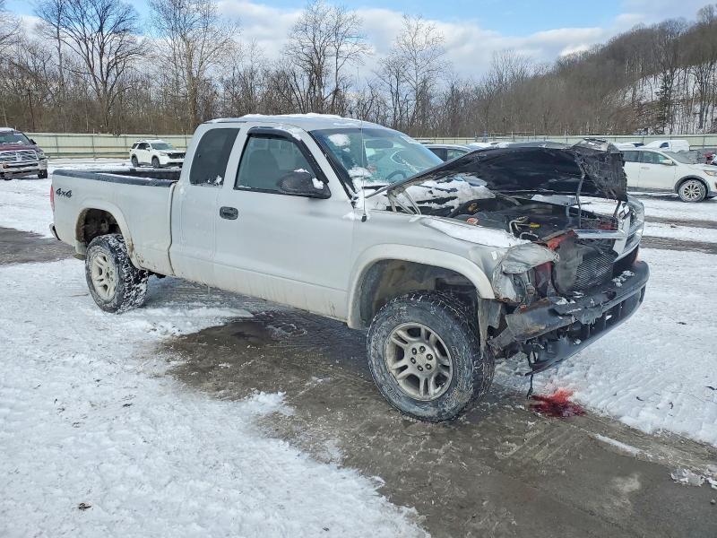 Photo 4 from auction – 2004 DODGE DAKOTA SLT with VIN 1D7HG42N34S500913