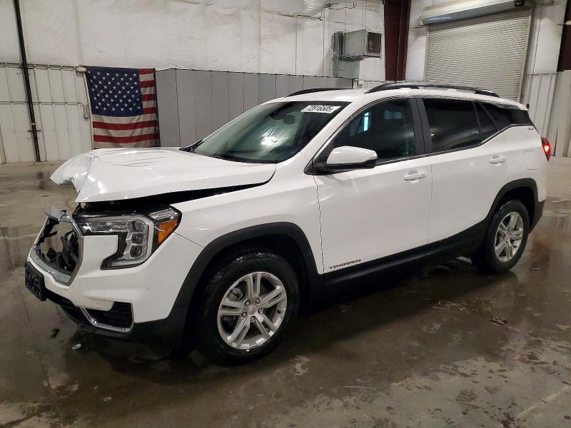 GMC TERRAIN 2023 with VIN 3GKALTEG0PL229816 - Photo from auction