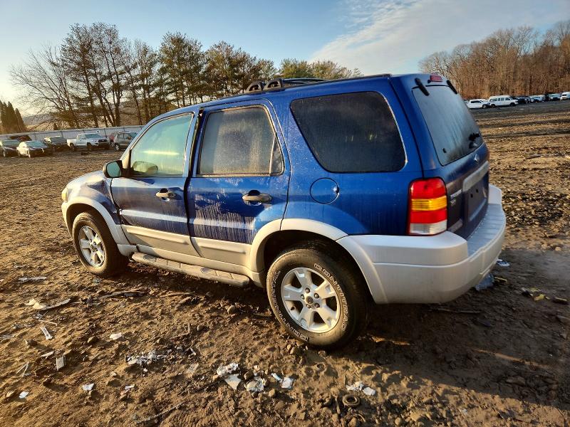 Photo 2 from auction – 2007 FORD ESCAPE XLT with VIN 1FMYU93167KB07189