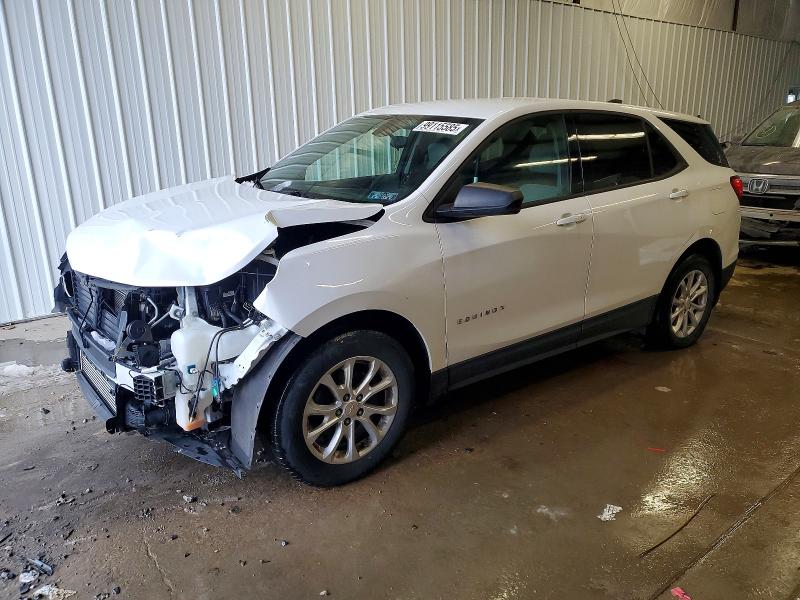 CHEVROLET EQUINOX LS 2019 with VIN 2GNAXSEV4K6239732 - Photo from auction
