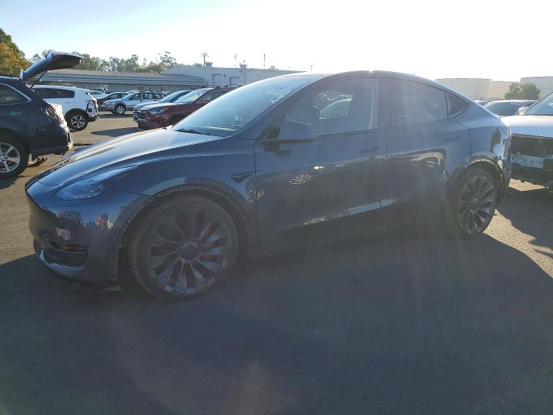 TESLA MODEL Y 2023 with VIN 7SAYGDEFXPF603054 - Photo from auction