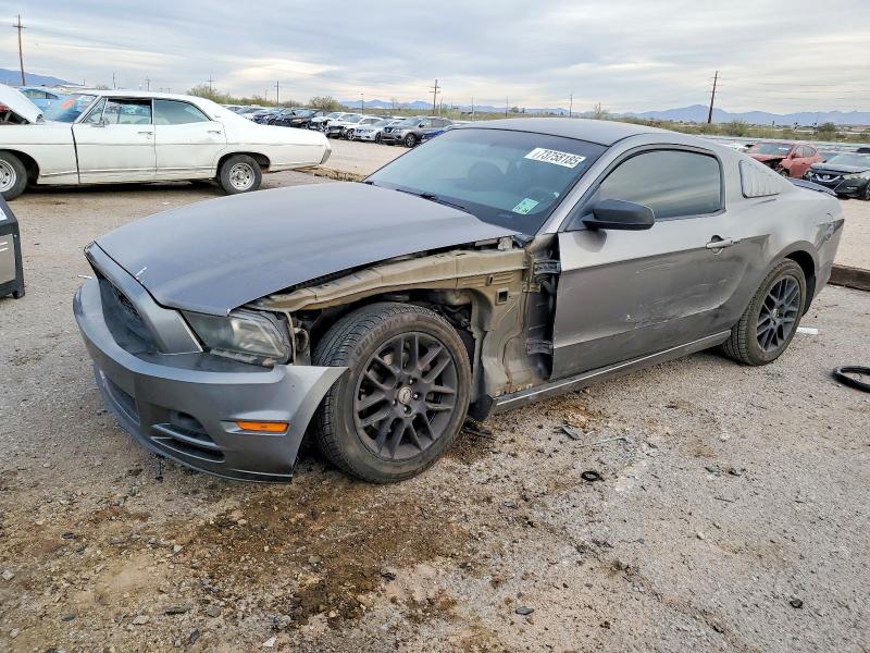 FORD MUSTANG 2014 with VIN 1ZVBP8AM4E5206885 - Photo from auction