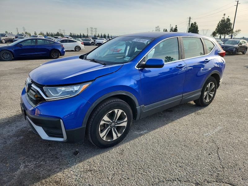 HONDA CR-V SE 2022 with VIN 7FARW2H72NE004504 - Photo from auction