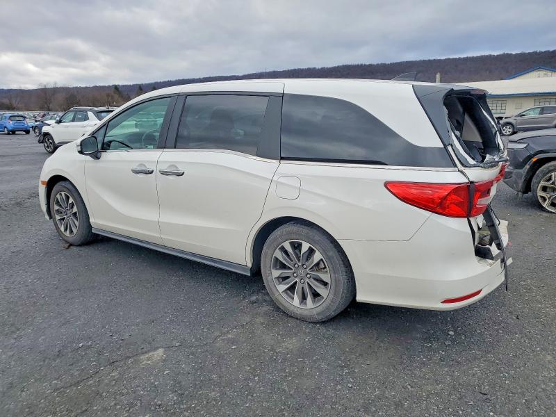 Photo 2 from auction – 2024 HONDA ODYSSEY EX with VIN 5FNRL6H68RB060794