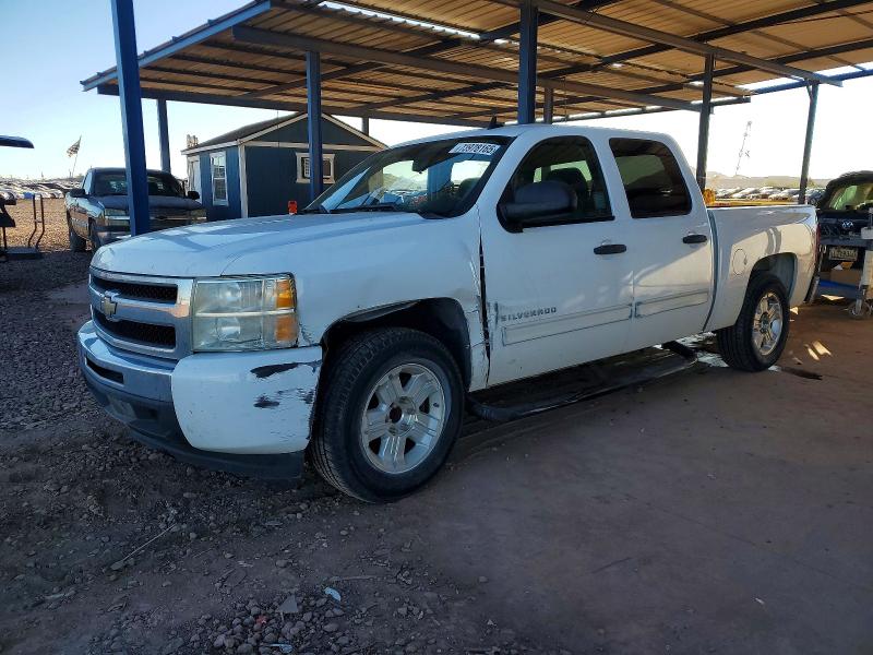 CHEVROLET SILVERADO 2009 with VIN 3GCEC23009G289877 - Photo from auction