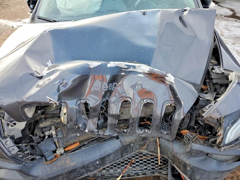 Photo 11 from auction – 2017 JEEP CHEROKEE T with VIN 1C4PJMBS4HW622403