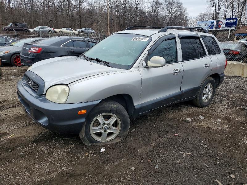 HYUNDAI SANTA FE 2004 with VIN KM8SC73E54U608929 - Photo from auction
