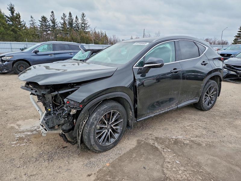 LEXUS NX 250 BAS 2025 with VIN 2T2ADCEZ1SC005326 - Photo from auction