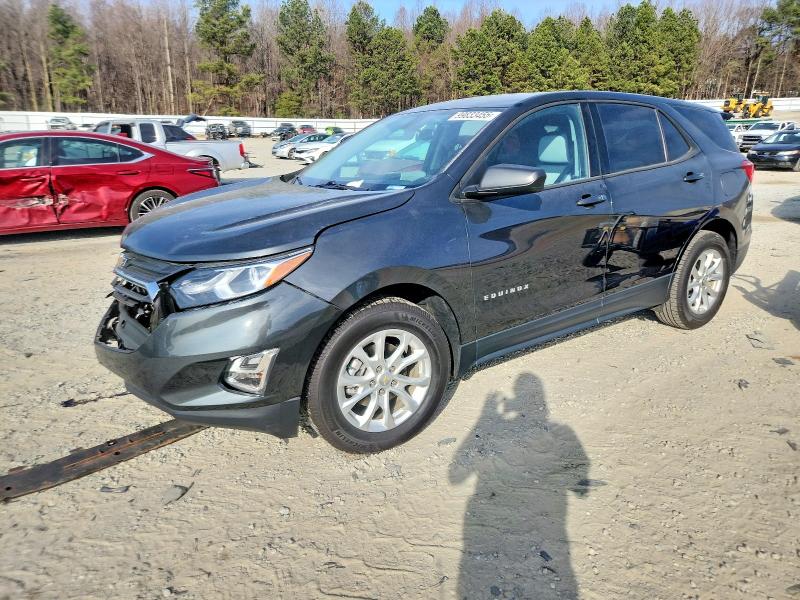 CHEVROLET EQUINOX LS 2019 with VIN 2GNAXHEV3K6297155 - Photo from auction