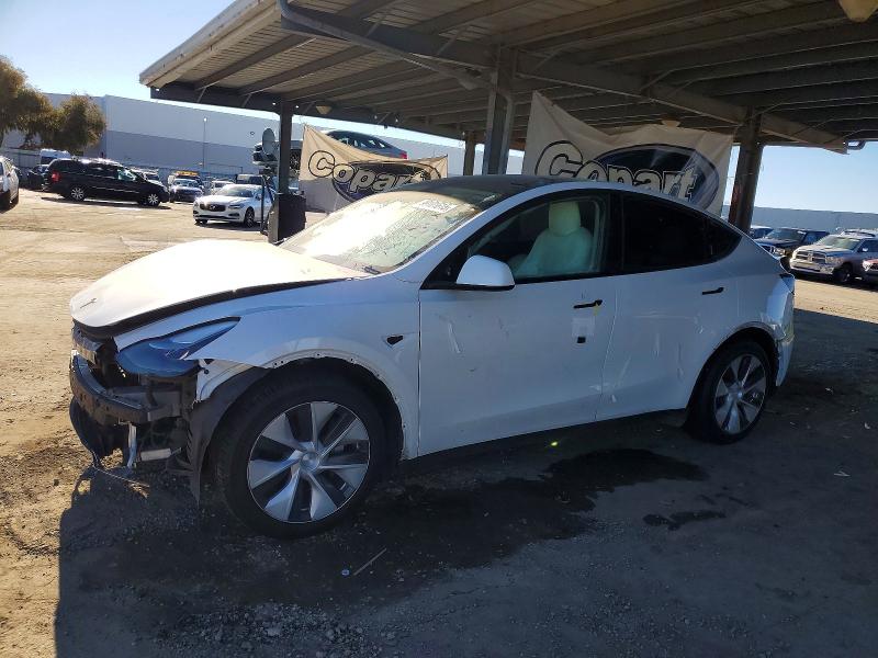 TESLA MODEL Y 2023 with VIN 7SAYGDEE2PF635696 - Photo from auction