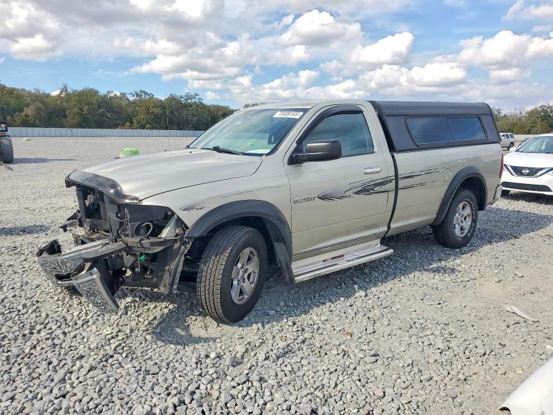 DODGE RAM 1500 2010 with VIN 3D7JB1EP6AG147968 - Photo from auction