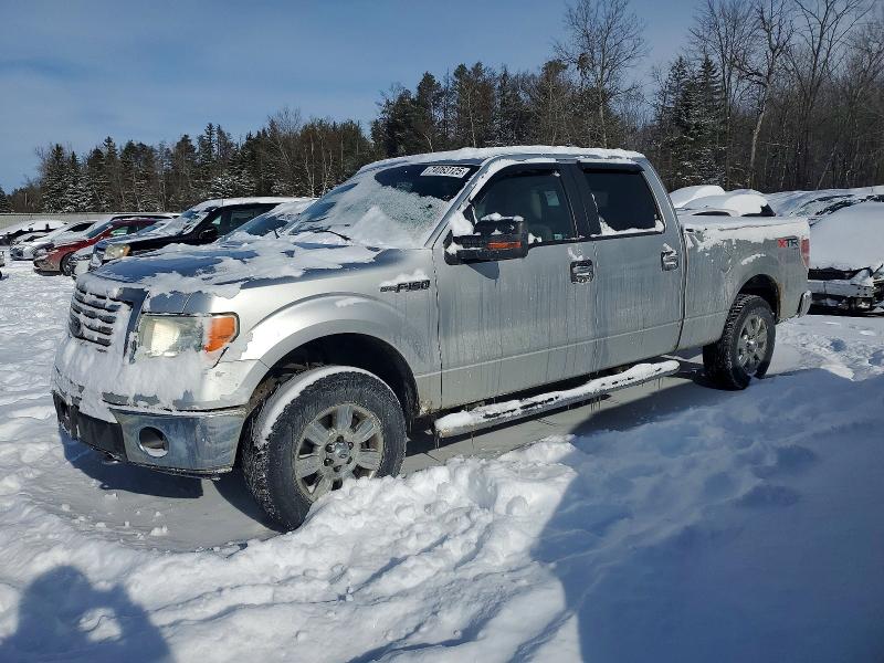 FORD F150 SUPER 2010 with VIN 1FTFW1EV6AFC73140 - Photo from auction