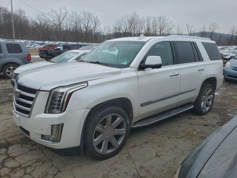 CADILLAC ESCALADE 2016 with VIN 1GYS4BKJ6GR163721 - Photo from auction