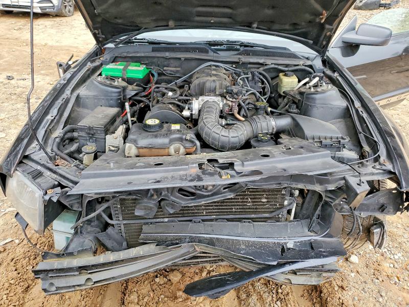 Photo 11 from auction – 2005 FORD MUSTANG with VIN 1ZVFT80N455121083