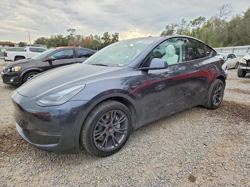 TESLA MODEL Y 2025 with VIN 7SAYGDED2SF228221 - Photo from auction