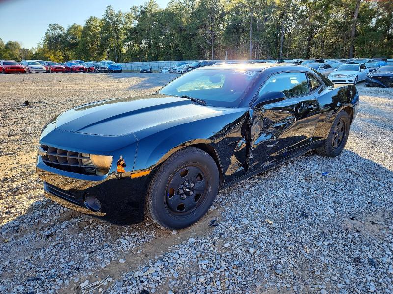 CHEVROLET CAMARO LS 2011 with VIN 2G1FA1ED1B9102384 - Photo from auction
