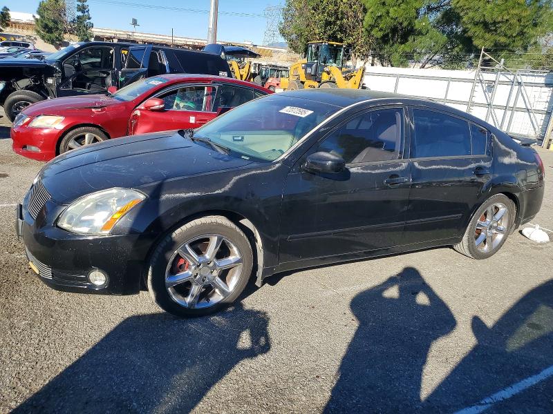 NISSAN MAXIMA SE 2005 with VIN 1N4BA41E35C805798 - Photo from auction