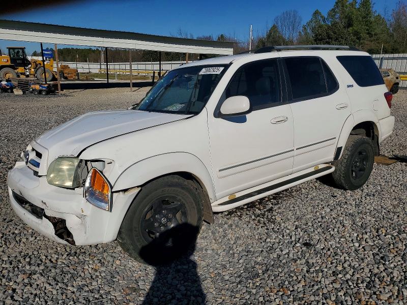 TOYOTA SEQUOIA 2006 with VIN 5TDZT34A06S273030 - Photo from auction