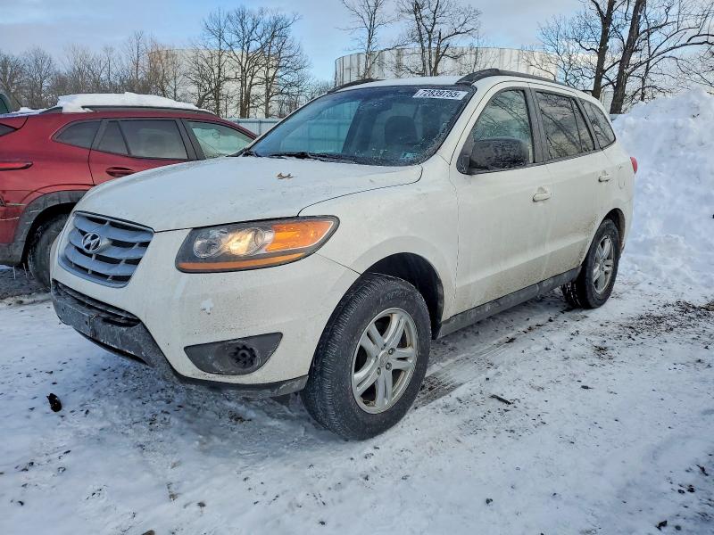 HYUNDAI SANTA FE G 2010 with VIN 5NMSGDAB6AH334269 - Photo from auction