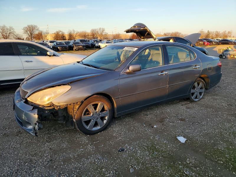 LEXUS ES 330 2005 with VIN JTHBA30G355091116 - Photo from auction