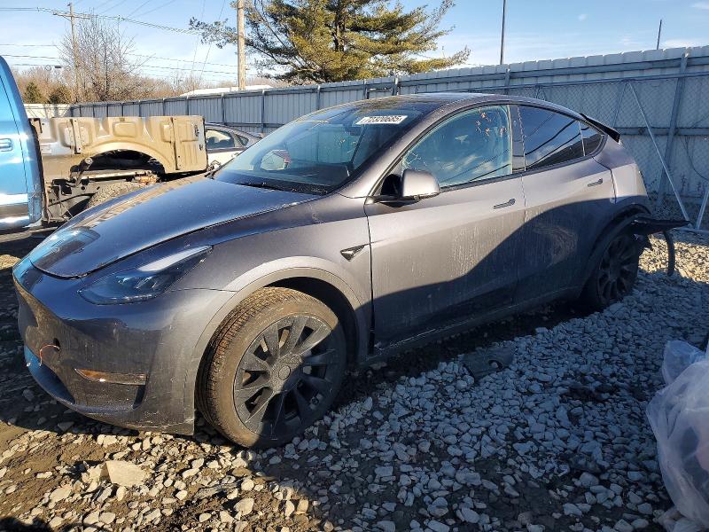 TESLA MODEL Y 2023 with VIN 7SAYGDED5PF956378 - Photo from auction
