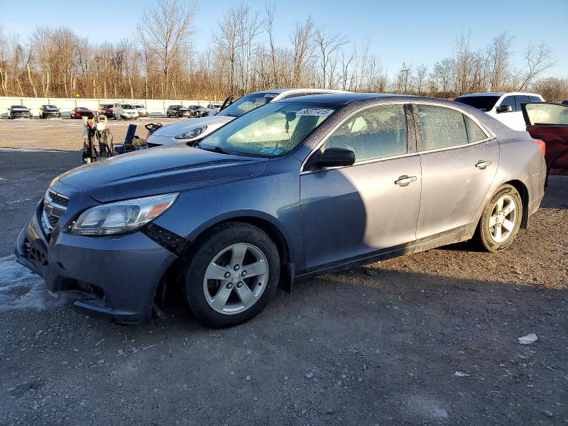 CHEVROLET MALIBU LS 2013 with VIN 1G11B5SA5DF338944 - Photo from auction