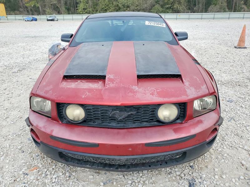 Photo 5 from auction – 2006 FORD MUSTANG with VIN 1ZVFT80N765248508