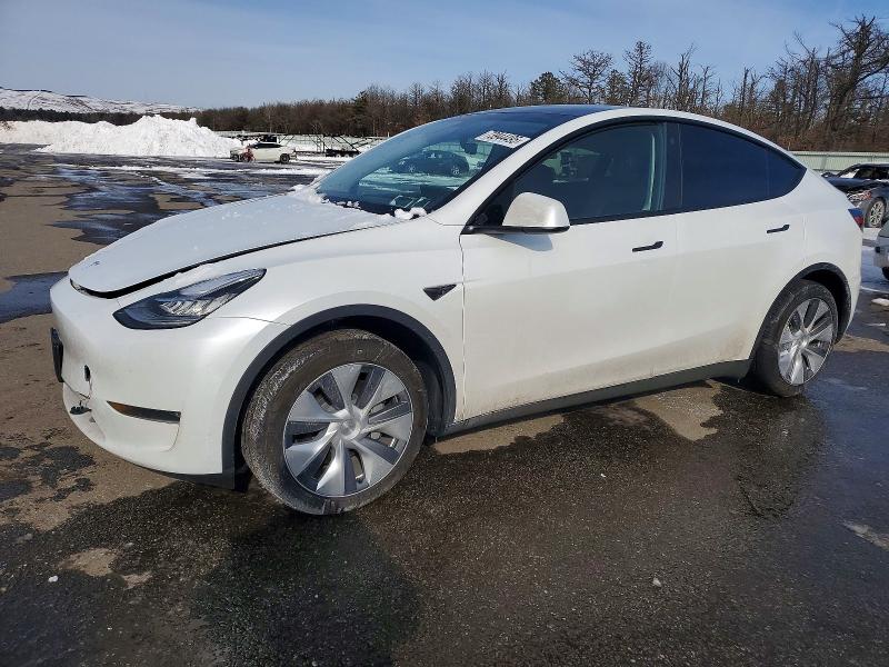 TESLA MODEL Y 2023 with VIN 7SAYGDEEXPA116103 - Photo from auction