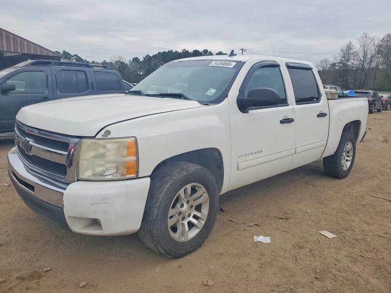 CHEVROLET SILVERADO 2011 con VIN 3GCPCSE06BG307231 - Foto de la subasta