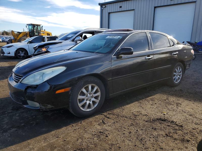 LEXUS ES 330 2004 with VIN JTHBA30G345041072 - Photo from auction