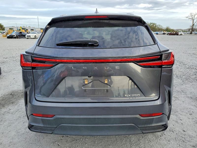 Photo 6 from auction – 2024 LEXUS NX 250 PRE with VIN 2T2GDCAZ6RC007308