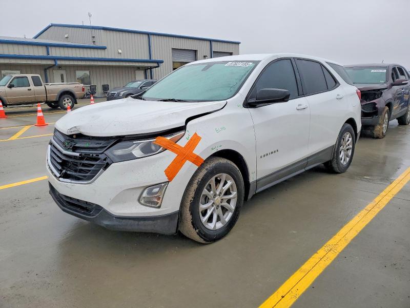 CHEVROLET EQUINOX LS 2019 with VIN 3GNAXHEV8KL355031 - Photo from auction