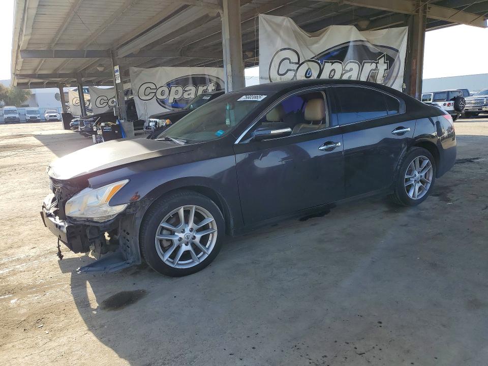 NISSAN MAXIMA 2011 with VIN 1N4AA5AP5BC809687 - Photo from auction