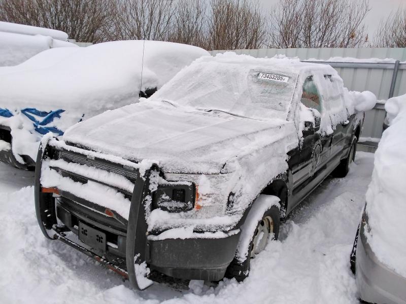 FORD F150 2018 with VIN 1FTFW1EG8JFA98021 - Photo from auction