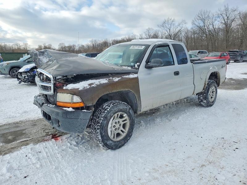 DODGE DAKOTA SLT 2004 with VIN 1D7HG42N34S500913 - Photo from auction