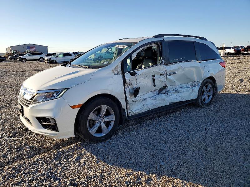 HONDA ODYSSEY 2019 with VIN 5FNRL6H79KB101982 - Photo from auction