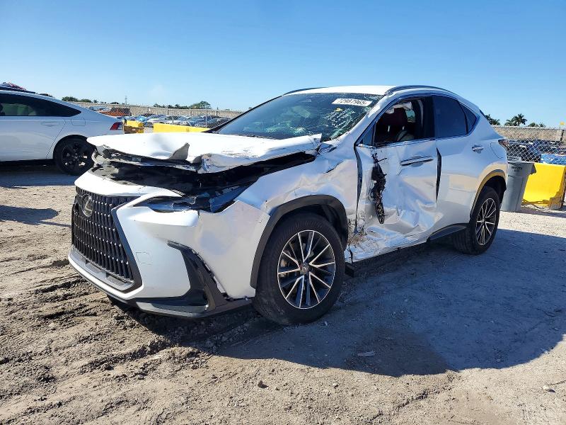 LEXUS NX 250 BAS 2024 with VIN JTJADCAZ0R5013755 - Photo from auction
