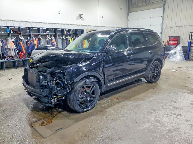 KIA TELLURIDE 2023 with VIN 5XYP5DGC5PG336884 - Photo from auction