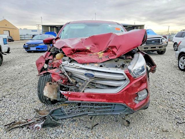 Photo 5 from auction – 2019 FORD ESCAPE with VIN 1FMCU0GD7KUA23972