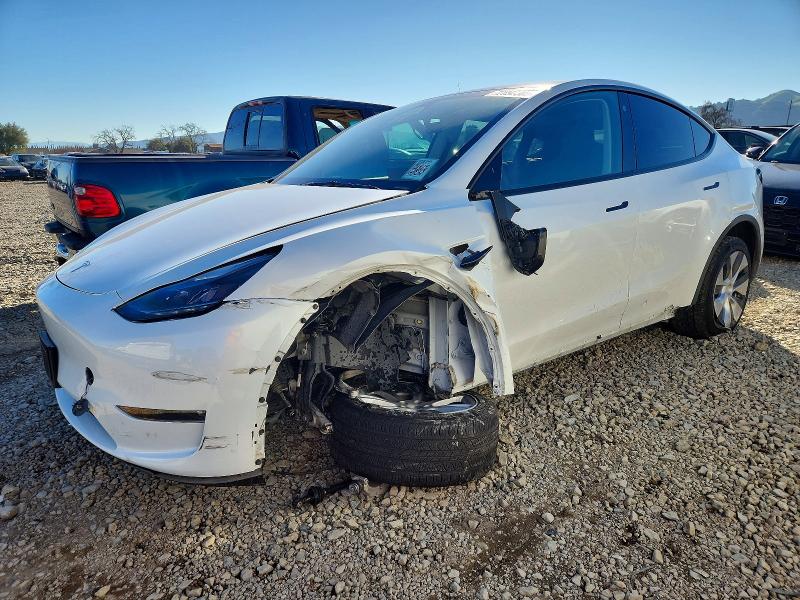 TESLA MODEL Y 2023 with VIN 7SAYGDEE1PF644874 - Photo from auction