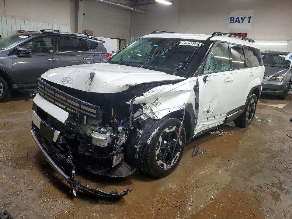 HYUNDAI SANTA FE S 2024 with VIN 5NMP2DGL7RH006696 - Photo from auction