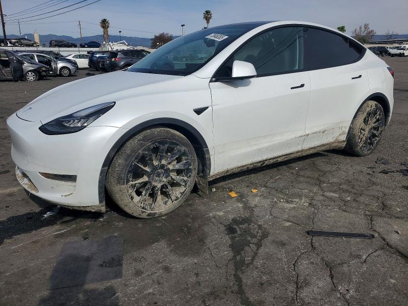 TESLA MODEL Y 2023 with VIN 7SAYGDEE1PA078986 - Photo from auction
