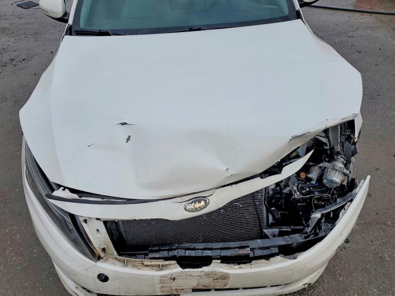 Photo 11 from auction – 2014 KIA OPTIMA with VIN KNAGM4A73E5464039