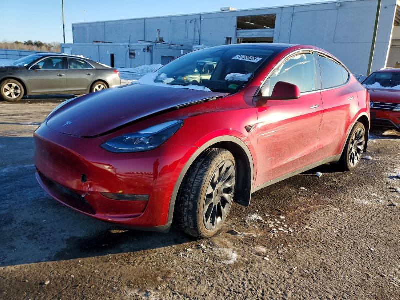 TESLA MODEL Y 2024 with VIN 7SAYGDEEXRA295343 - Photo from auction