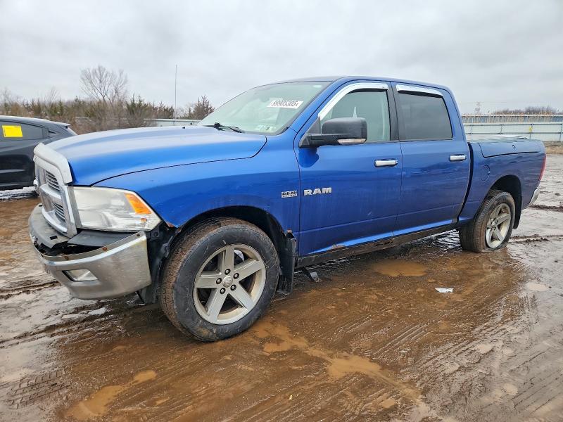 DODGE RAM 1500 2009 with VIN 1D3HV13TX9J523900 - Photo from auction