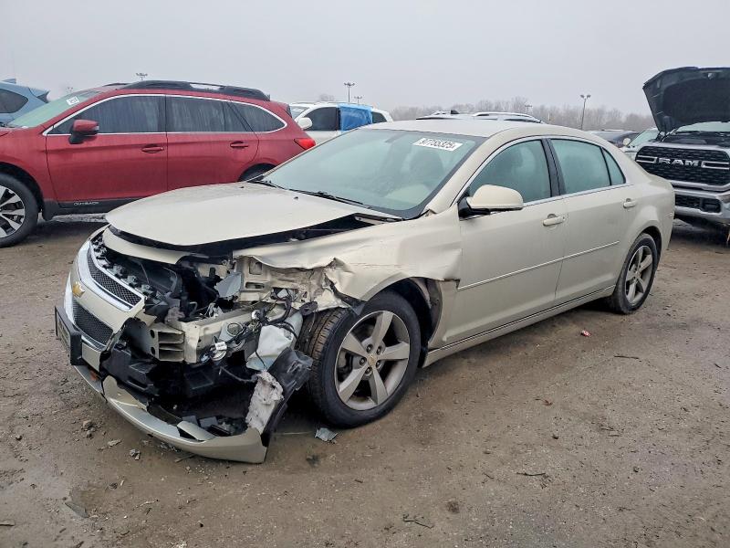 CHEVROLET MALIBU 1LT 2011 with VIN 1G1ZC5E12BF113700 - Photo from auction