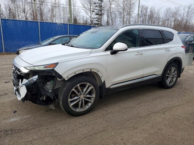 HYUNDAI SANTA FE 2019 with VIN 5NMS3CAA6KH079475 - Photo from auction