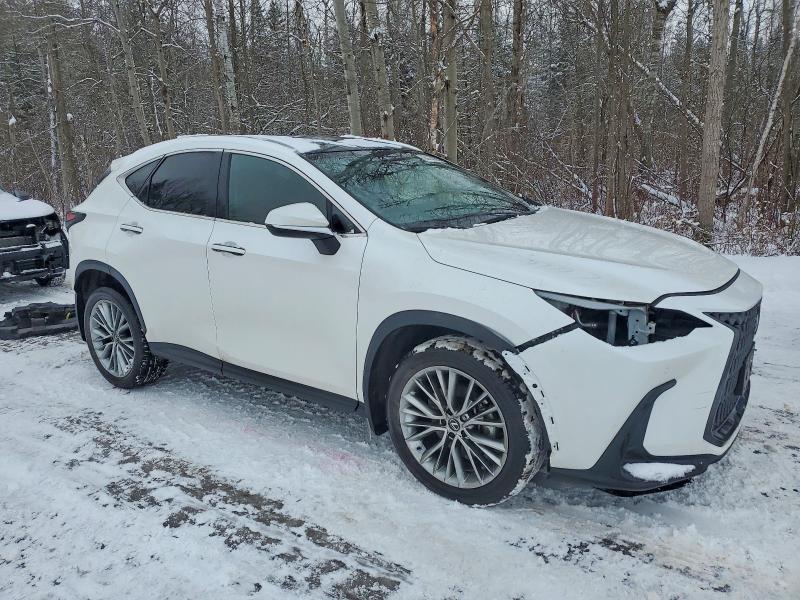 Photo 4 from auction – 2025 LEXUS NX 350 PRE with VIN 2T2GGCEZ2SC072454