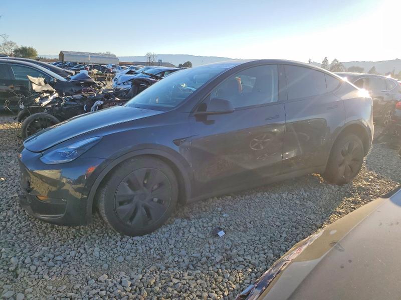 TESLA MODEL Y 2025 with VIN 7SAYGDED0SF266109 - Photo from auction