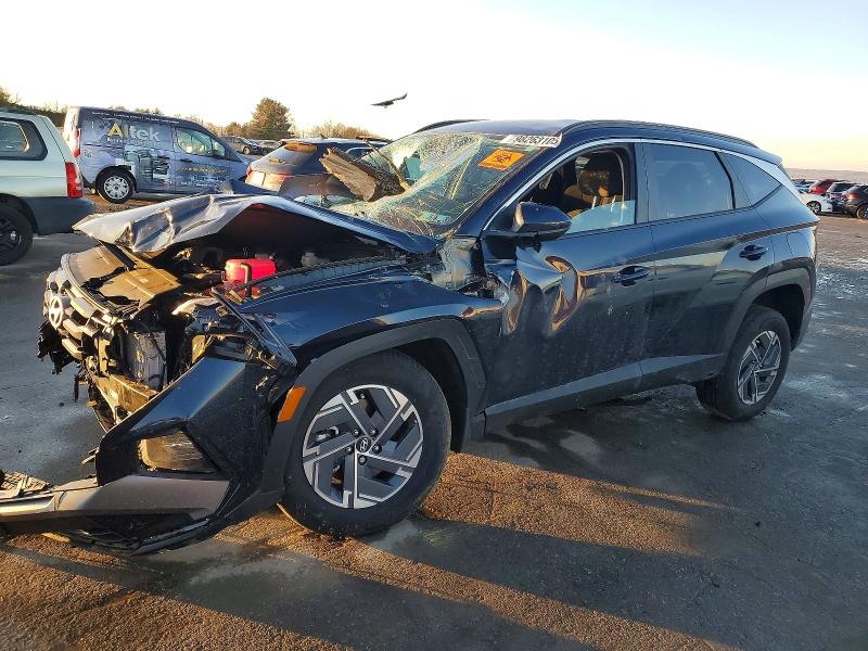 HYUNDAI TUCSON BLU 2025 with VIN KM8JBDD16SU340897 - Photo from auction